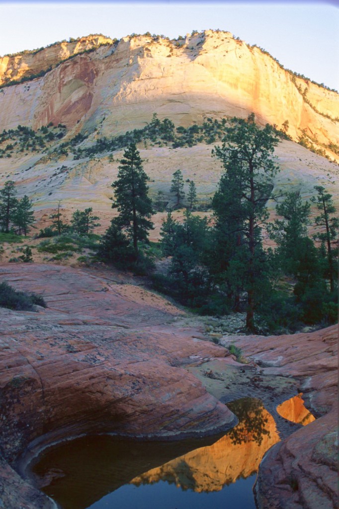 high on the east side of zion national park Utah
