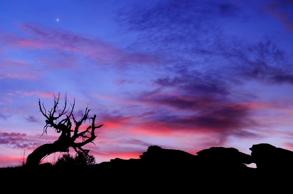 early morning snow canyon state park