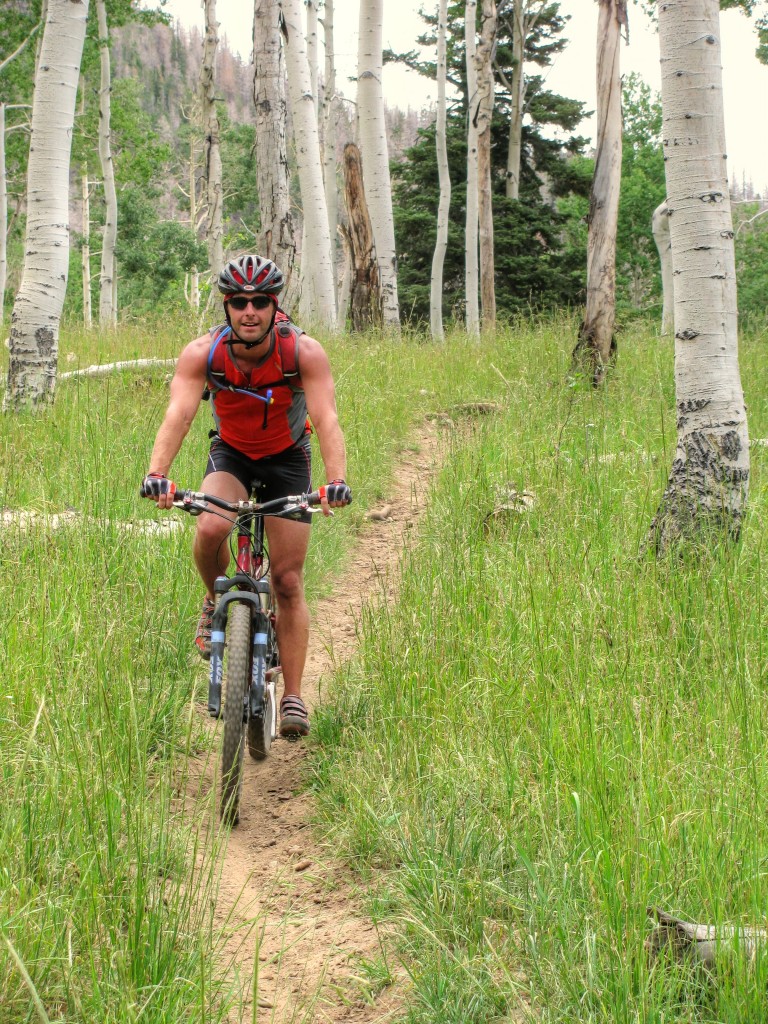 Virgin River Rim Mountain Bike Trail